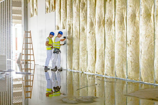 Types of Insulation We Offer in Redlands, CO